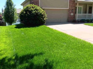 Ricky P.'s lawn service service result