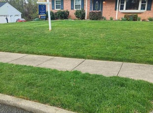 David C.'s grass cutting service result