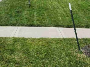 Andrew R.'s lawn service service result