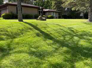 Cita D.'s lawn care services service result