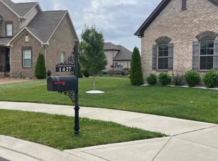 Richard G.'s turf care service result