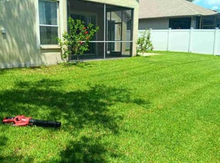 Andrea B.'s turf maintenance service result