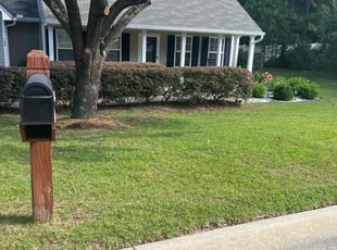 Nathan N.'s lawn service service result