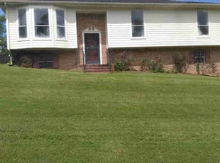 Richard R.'s turf care service result