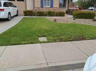 Frank V.'s grass maintenance service result