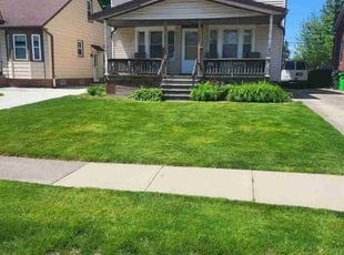 Anita M.'s grass cutting service result