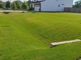 Tina C.'s grass cutting service result