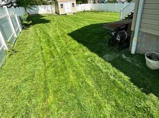 Maureen P.'s grass cutting service result