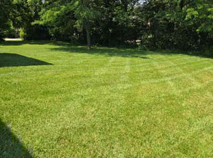 Steven R.'s lawn service service result