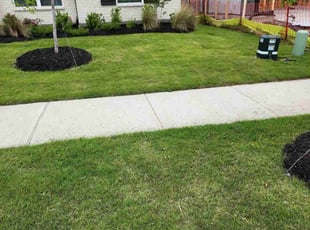 Tyla V.'s turf maintenance service result