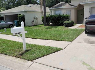 Savannah S.'s grass maintenance service result