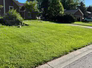 Dustin H.'s turf maintenance service result