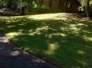 Carson B.'s lawn service service result