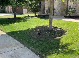 Pailina T.'s lawn care services service result