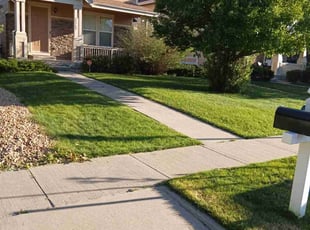 Jonathan T.'s lawn care service result
