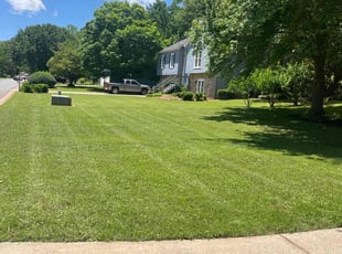 Scott B.'s turf maintenance service result