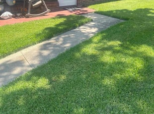 Cecilia J.'s lawn service service result