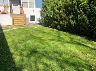 John S.'s grass cutting service result