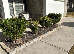 Jenna D.'s Flower Bed Weeding service result