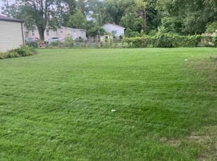 Janis N.'s grass maintenance service result