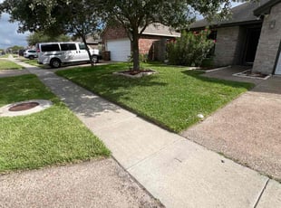 Lisa N.'s grass cutting service result
