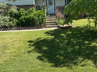 Amya N.'s lawn care services service result