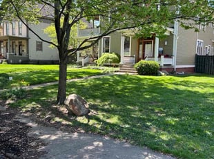 Debra I.'s grass maintenance service result