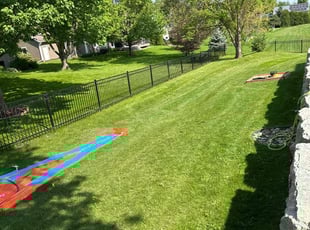 Ashley G.'s lawn care service result