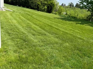 Judie D.'s lawn service service result