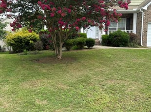 Gloria B.'s lawn service service result