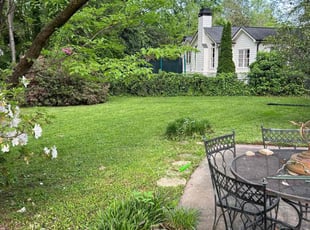 Carol D.'s grass maintenance service result