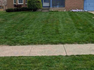 Toni R.'s lawn care service result