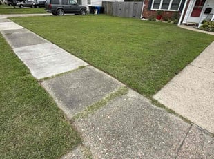 Ali P.'s grass cutting service result