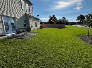 Clint A.'s grass cutting service result