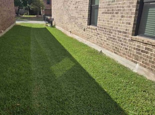James G.'s lawn maintenance service result