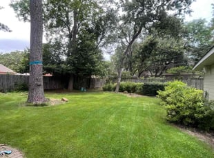 Susan O.'s turf maintenance service result