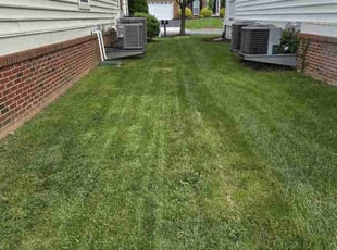 Sonya M.'s grass maintenance service result