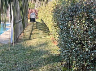 Bailey M.'s Bush Trimming service result