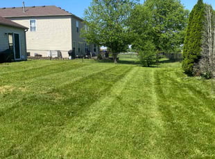 Diana K.'s grass cutting service result