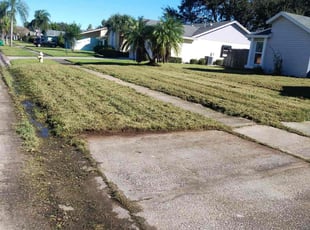 Holly R.'s turf care service result