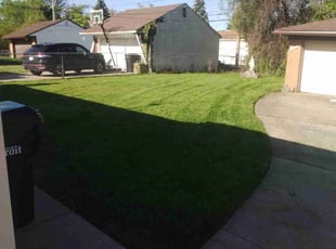 Sharnette M.'s turf care service result