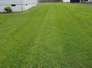 Chesnee G.'s lawn maintenance service result