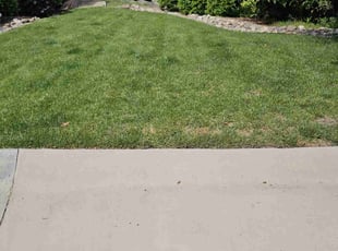 Katharine D.'s lawn care services service result