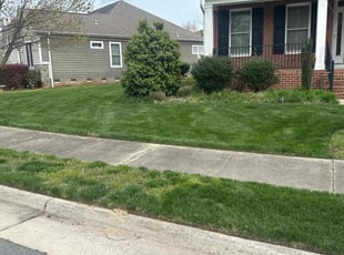 Erin H.'s lawn care service result