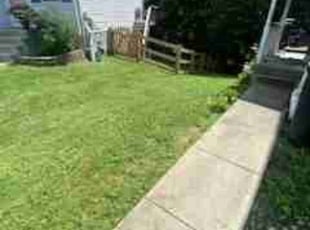 Mike B.'s lawn service service result