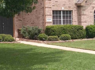 Shannon G.'s lawn care services service result