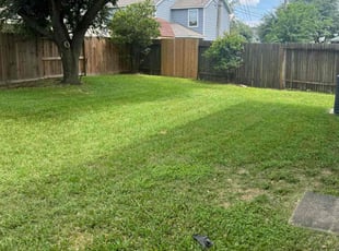 Amelia W.'s lawn service service result