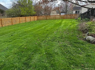 Cheng T.'s lawn care service result