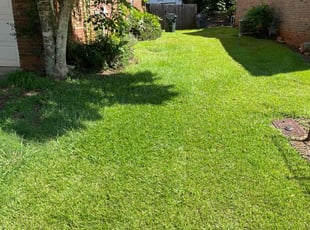 Lasara M.'s lawn service service result