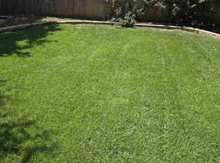Michelle H.'s grass maintenance service result